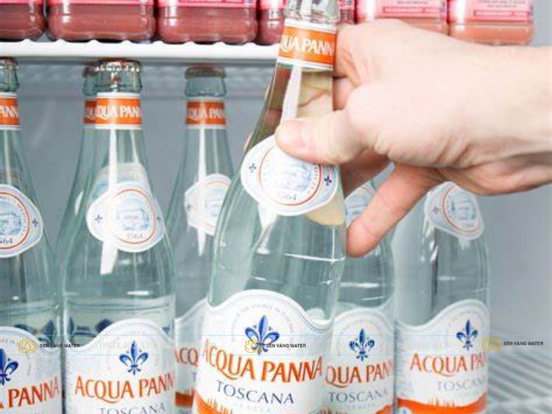 Uống nước khoáng tự nhiên 500ml * 24 – Acqua Panna nhiều có tốt không?